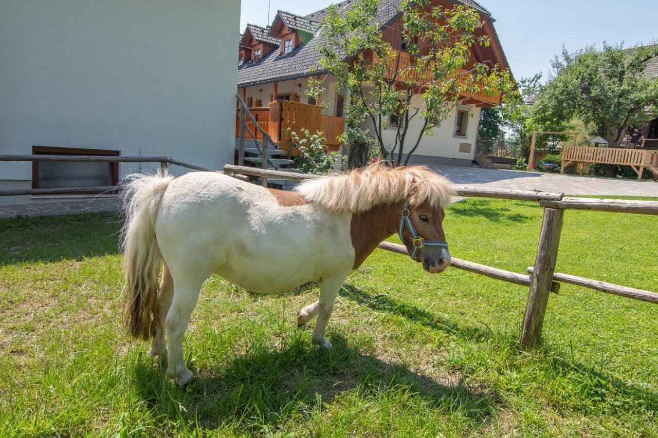 Tourist Farm "Pri Biscu" Villa Bled Eksteriør bilde