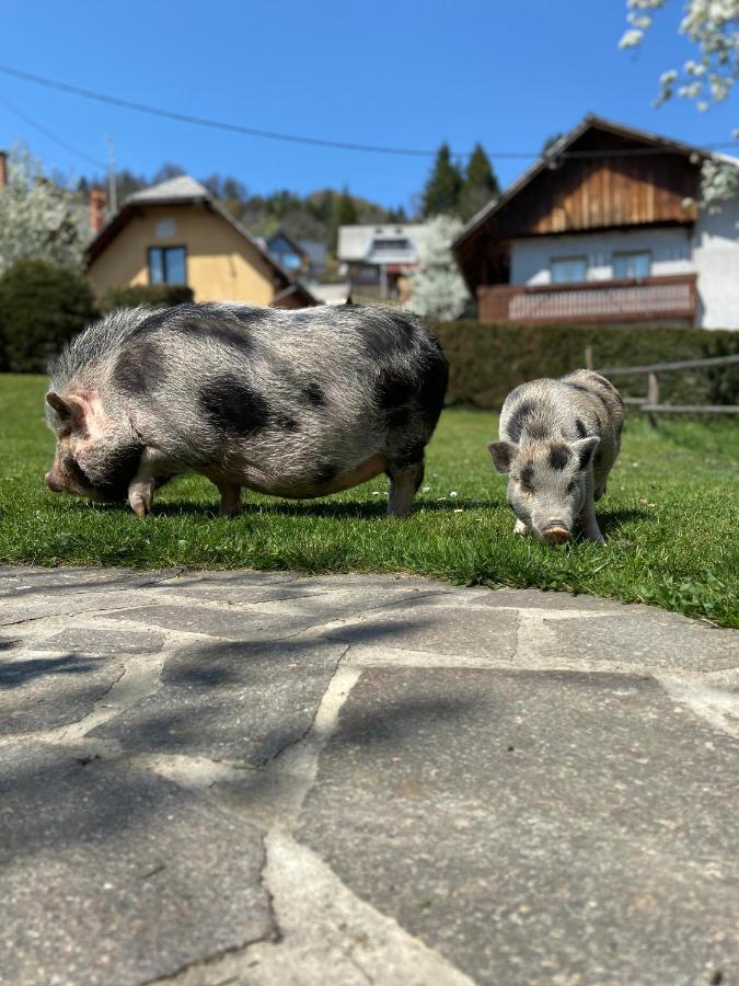 Tourist Farm "Pri Biscu" Villa Bled Eksteriør bilde